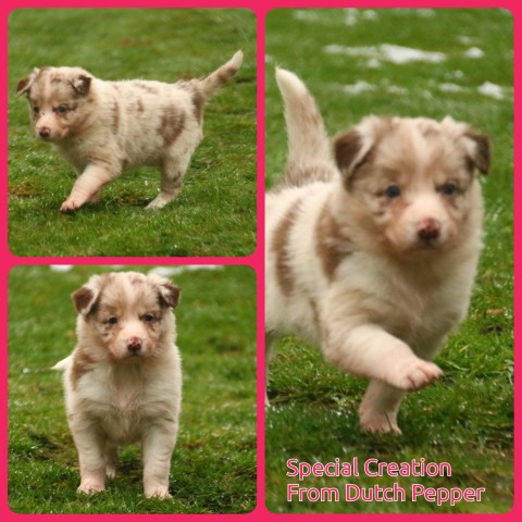 PhotoCollage_1674735127223-Small