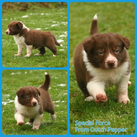 PhotoCollage_1674747503887-Small