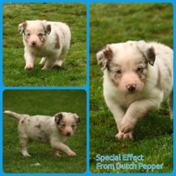 PhotoCollage_1674736860901-Small PhotoCollage_1674736860901-Small