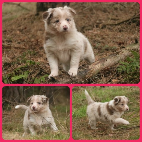 PhotoCollage_1675344124172-Small