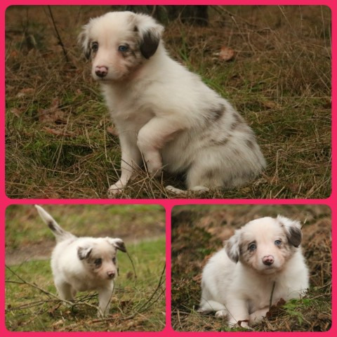 PhotoCollage_1675344481175-Small