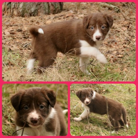 PhotoCollage_1675344659318-Small