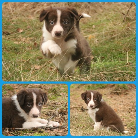 PhotoCollage_1675345601081-Small