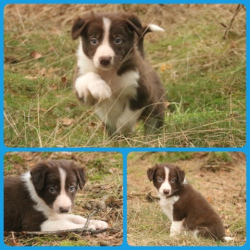 PhotoCollage_1675345601081-Small PhotoCollage_1675345601081-Small