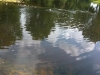foto-medium
