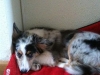 img-20110704-wa0000-medium