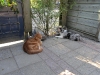 img_0809-medium