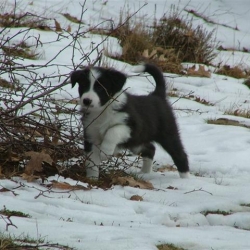 Chebby_2006-03-05_16.09.00