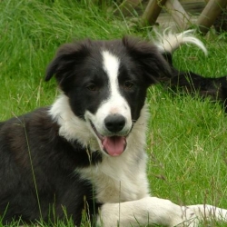 Chebby_2006-06-07_13.10.23