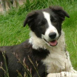 Chebby_2006-06-07_13.11.09