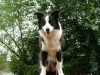 chill_2004-07-18_11-27-49