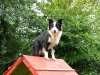 chill_2004-07-18_11-28-03