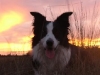 chill_2005-09-24_11-33-05
