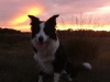 chill_2005-09-24_11-33-33