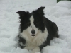 chill_2006-03-04_10-17-35