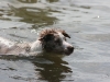 img0179_