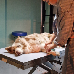 WhatsApp-Image-2026-02-15-at-12.06.41-1