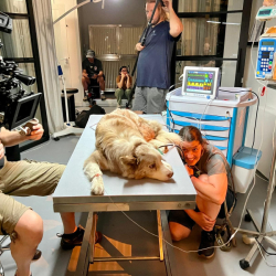 WhatsApp-Image-2026-02-15-at-12.35.31-1