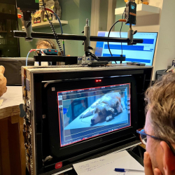 WhatsApp-Image-2026-02-15-at-12.35.31