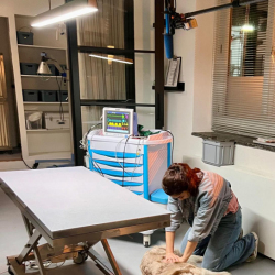 WhatsApp-Image-2026-02-15-at-12.35.32