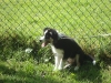 foto-map1-465