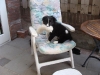 dsc01604-medium