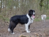 website_dsc_0567_1-4-2012-13_10_38