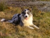 bild0249