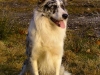 bild0250
