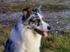 bild0254