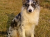 bild0258