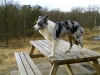 bild0271