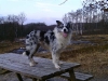 bild0274