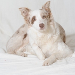 website_dsc_8159_14-3-2012-14_16_11