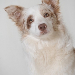 website_dsc_8179_14-3-2012-14_17_46