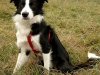 06112006mitchsitz_medium