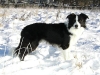 kopie_van_mitch_-_januar_2009