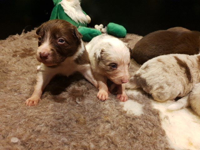 20230110_214022-Small