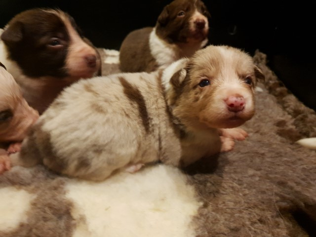 20230110_214043-Small