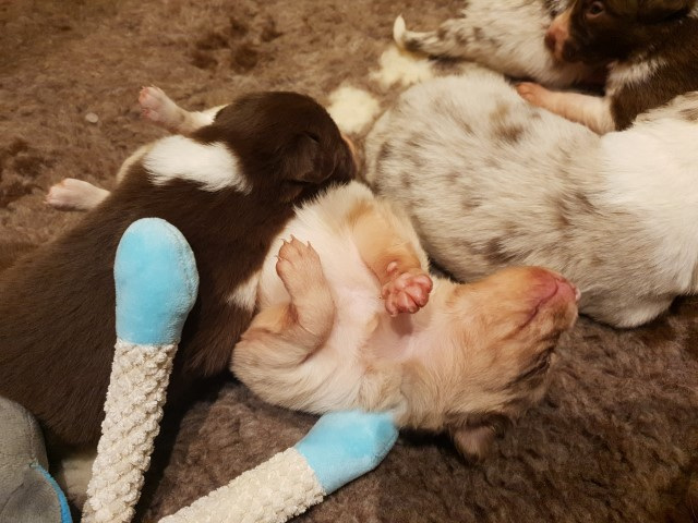 20230110_214319-Small