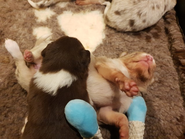 20230110_214330-Small