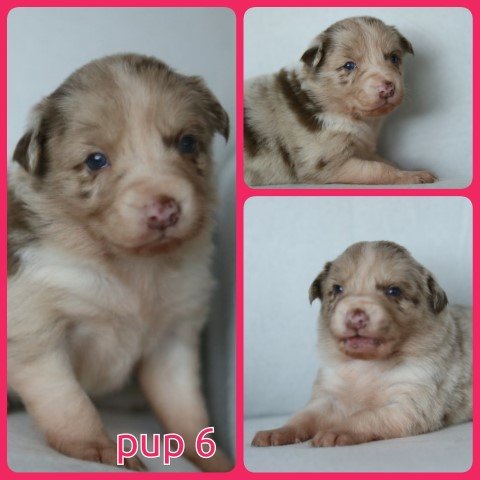 PhotoCollage_1673526494544-Small