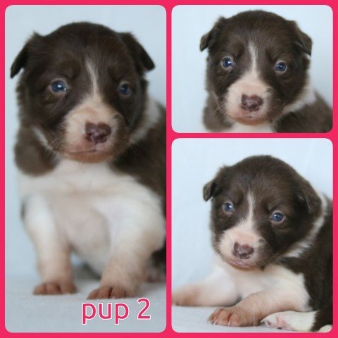 PhotoCollage_1673526721273-Small