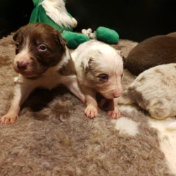 20230110_214022-Small 20230110_214022-Small