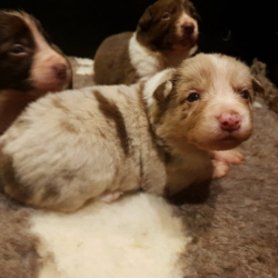 20230110_214043-Small 20230110_214043-Small