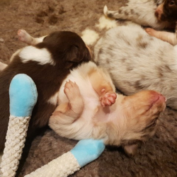 20230110_214319-Small 20230110_214319-Small