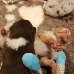 20230110_214330-Small 20230110_214330-Small