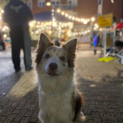 WhatsApp-Image-2026-02-15-at-13.11.39-1-1