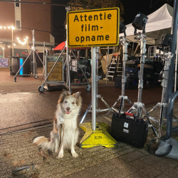 WhatsApp-Image-2026-02-15-at-13.11.39-2