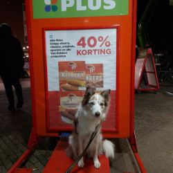 WhatsApp-Image-2026-02-15-at-13.12.35